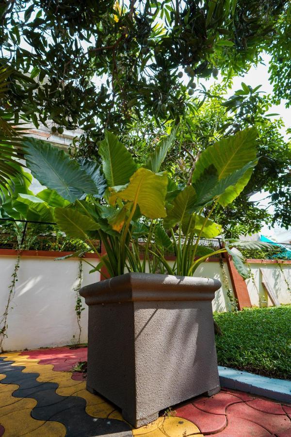 Parudeesa - Heavenly- Luxurious Palace Look-Near Cbd - Kerala - India With Breakfast Kāladi 외부 사진